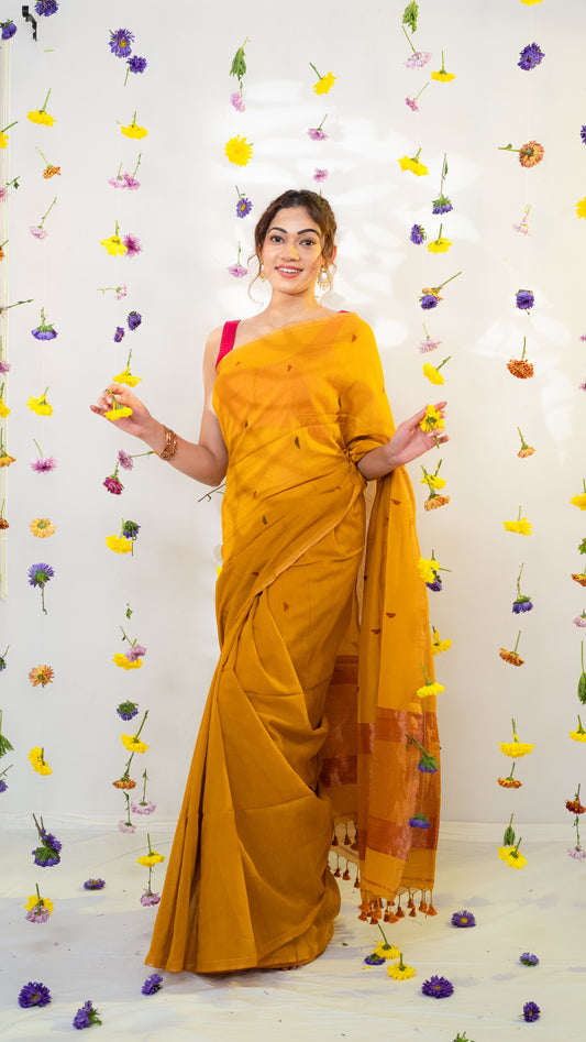 Mango Tango Pure Cotton Saree