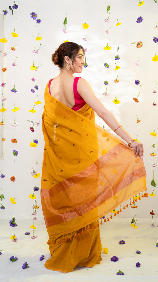 Mango Tango Pure Cotton Saree